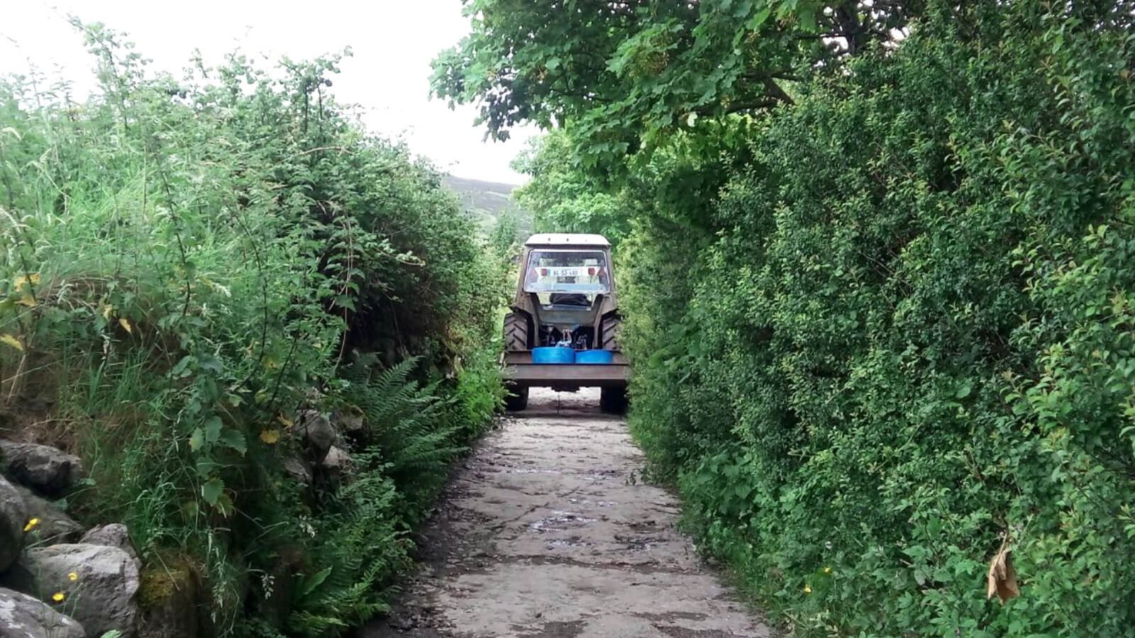 Tractor on a narrow lane in Ireland with high hedgerows on both sides