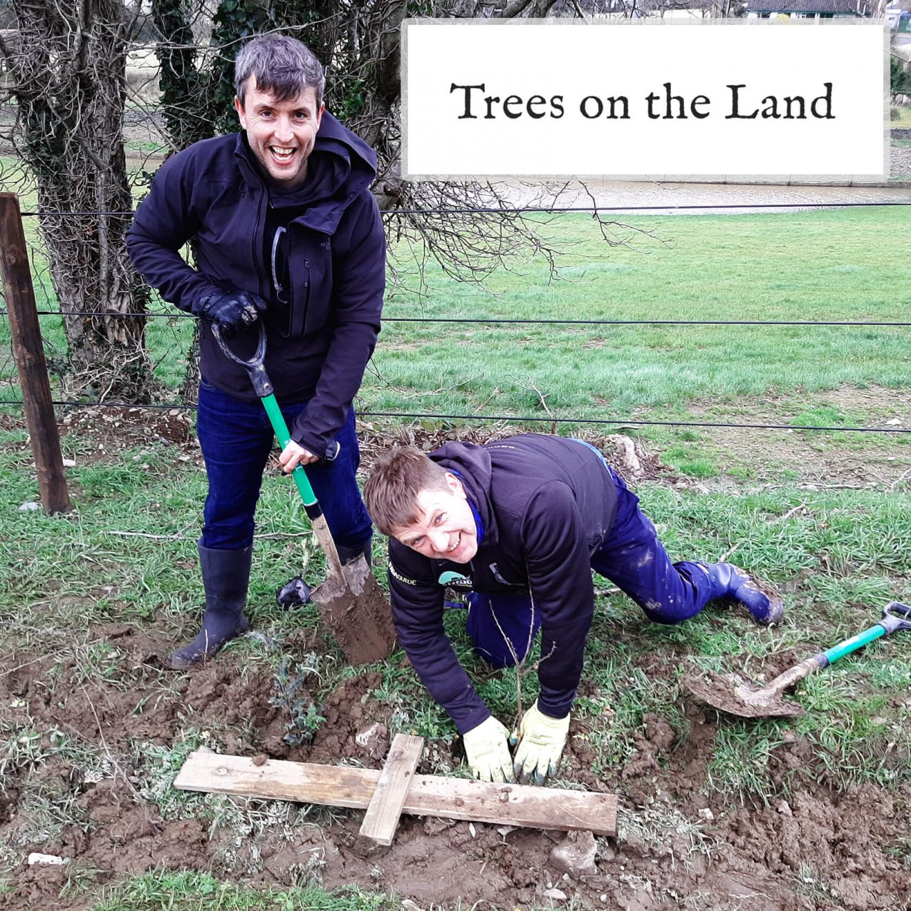 Two men planting trees with Trees on the Land logo