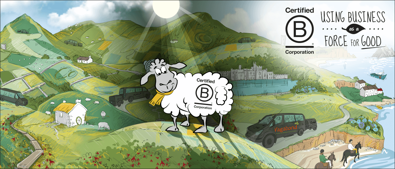 Sheep with animated landscape and B Corp logo
