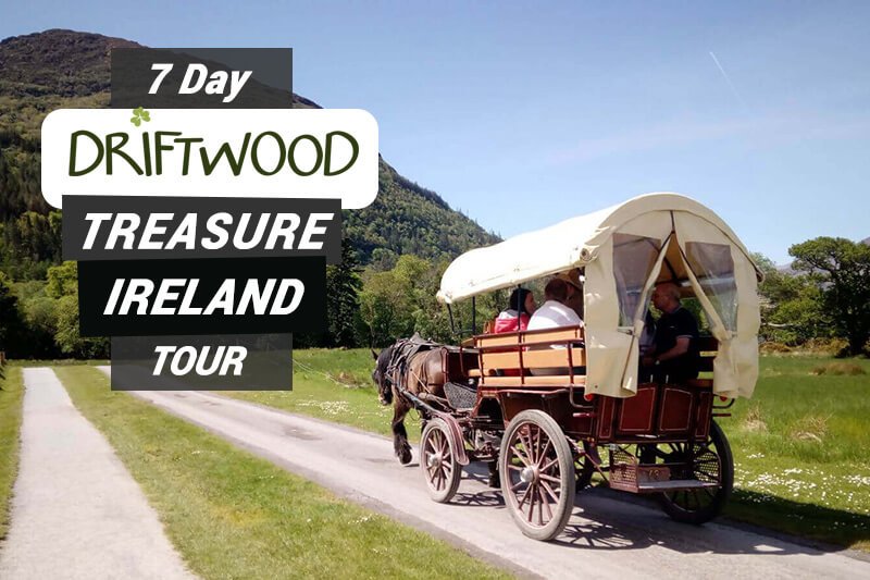 7 Day Driftwood Treasure Ireland Tour card showing a horse drawn carriage in Killarney National Park