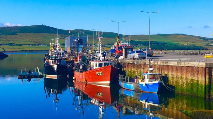 Fishing boats docked in Dingle harbour in the sunshine