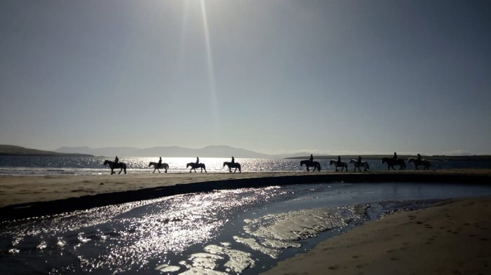 Vagabonds horse riding in a straight line on Ventry Beach in Dingle.