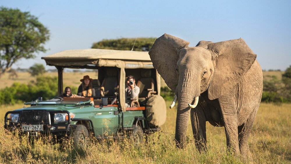 Mahlatini Luxury Travel
