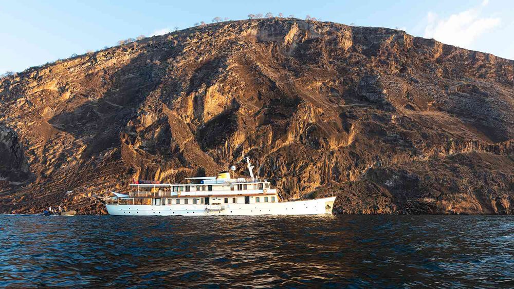 Quasar Expeditions