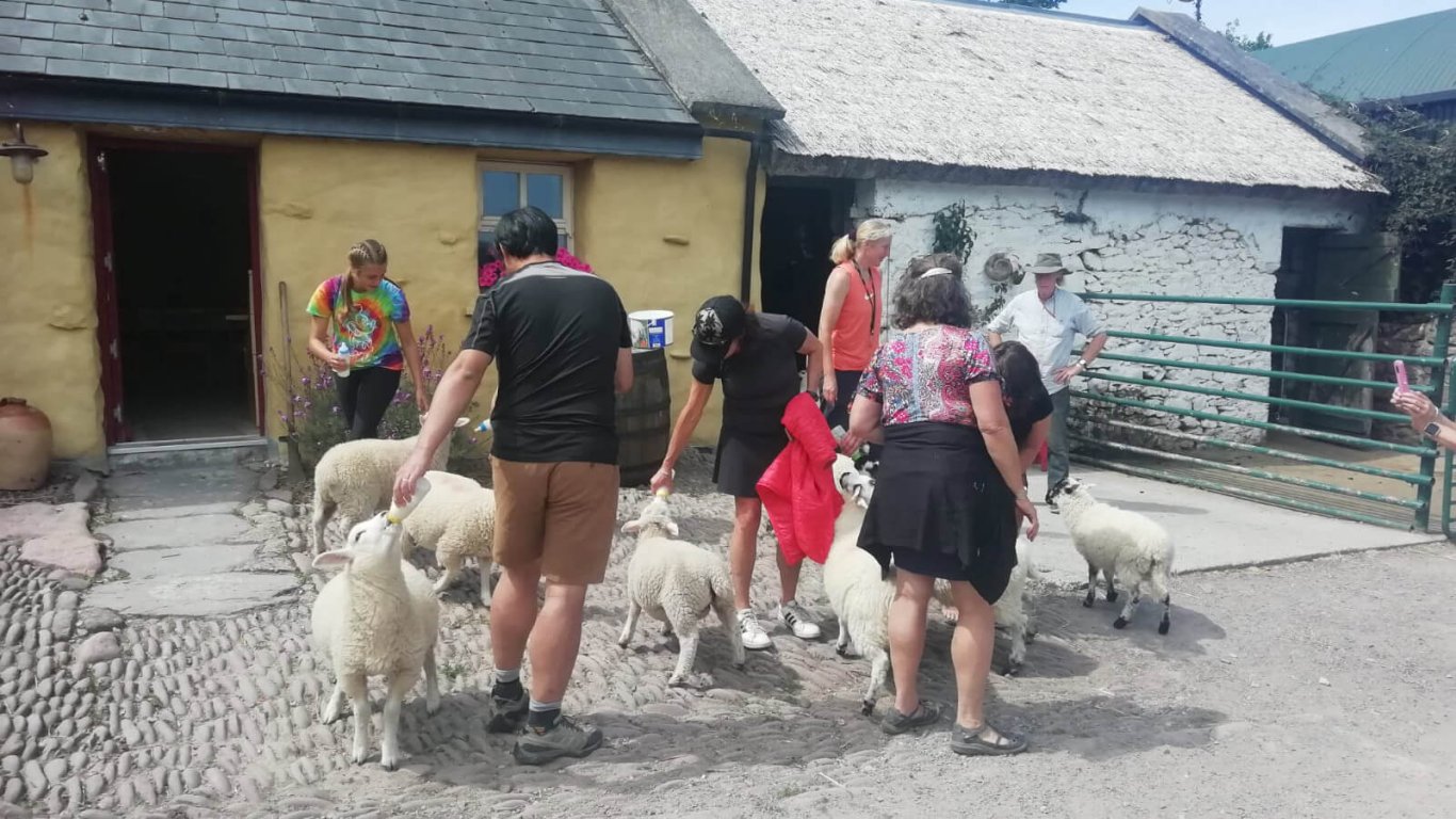 Group at Bridget and Seamus's sheep farm in West Kerry, Ireland