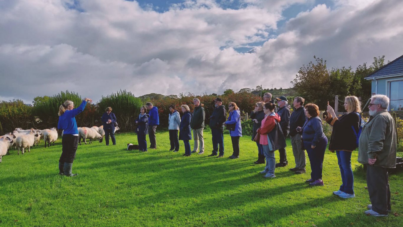 Group at Bridget and Seamus's sheep farm in West Kerry, Ireland