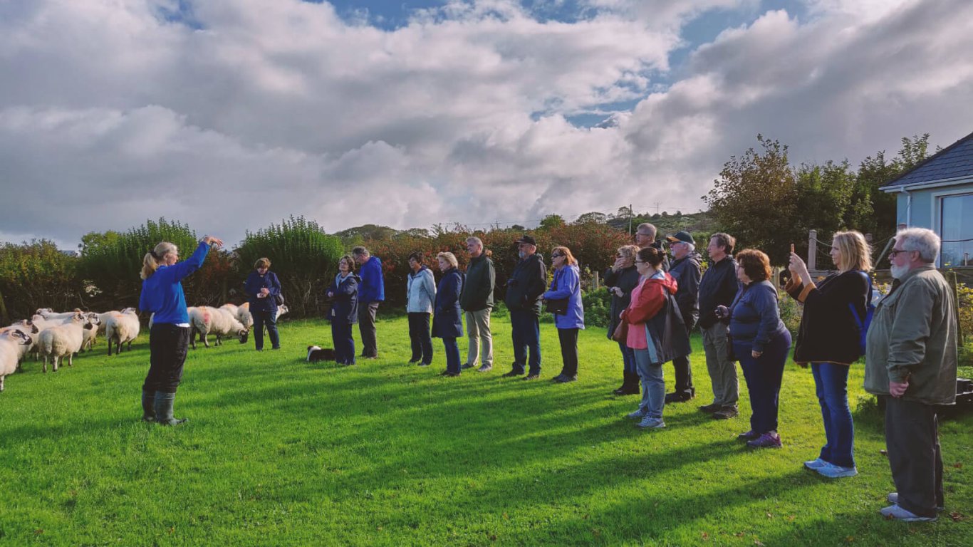 Group at Bridget and Seamus's sheep farm in West Kerry, Ireland