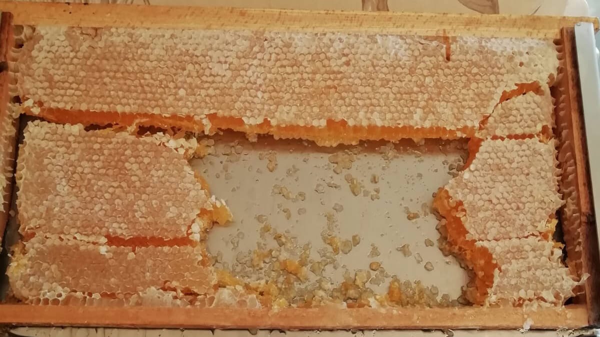 Honeycomb in Ireland