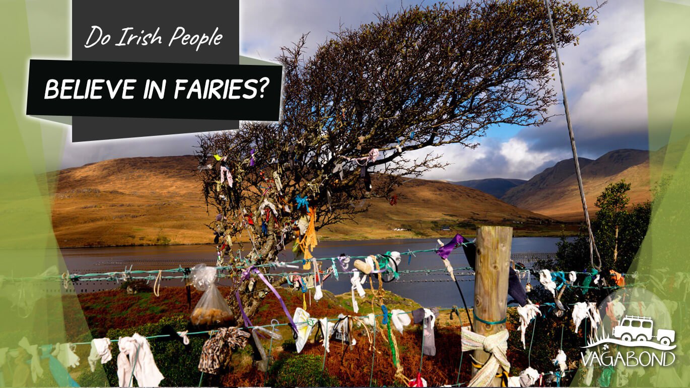 Do Irish People Believe In Fairies? Fairy Rag Tree in Killary Harbour, Ireland