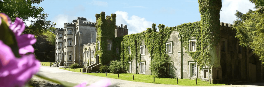An exterior view of Ballyseede Castle covered in Ivy on a sunny day