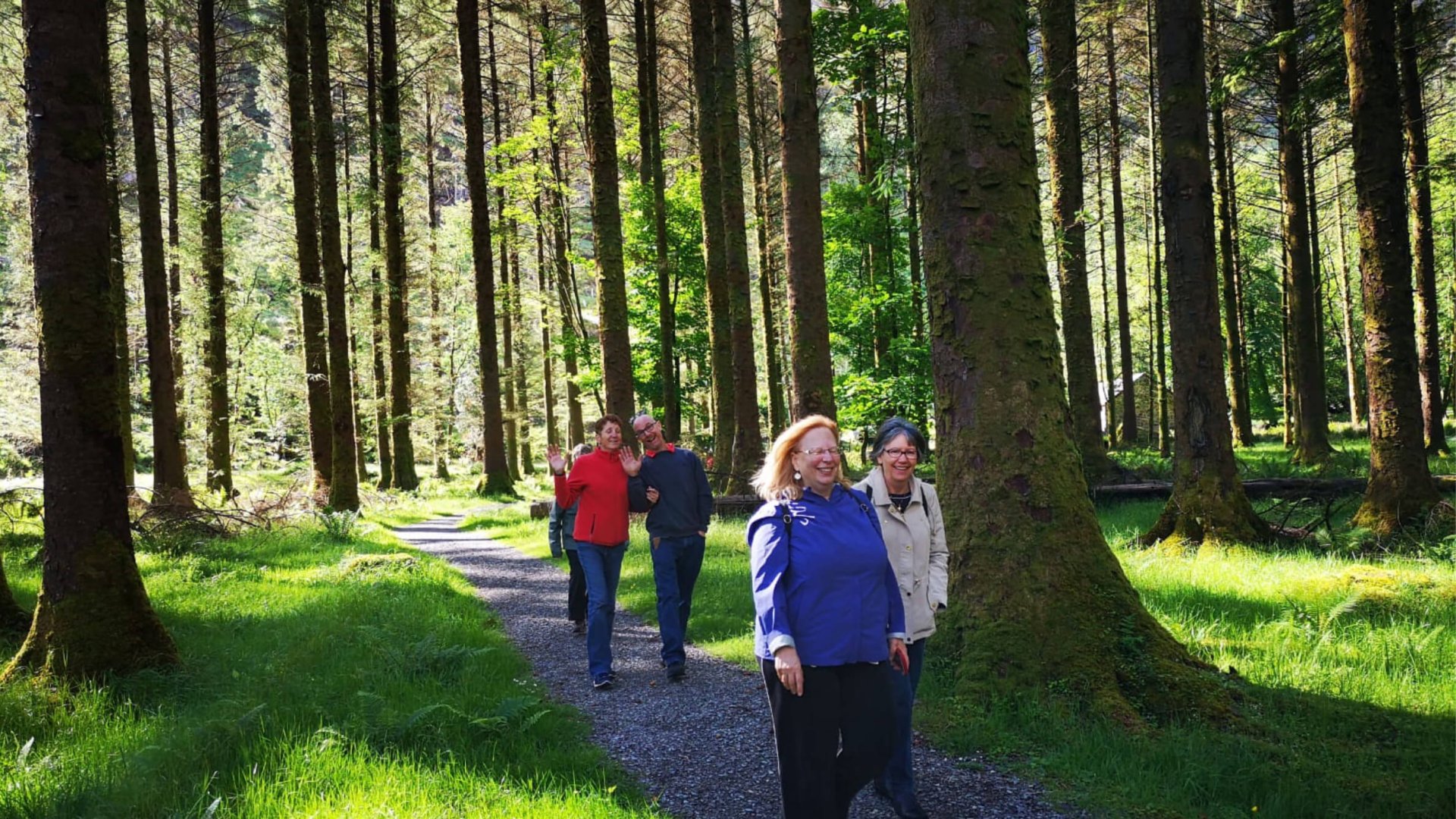 Driftwood senior guests walking through a forest laughing together