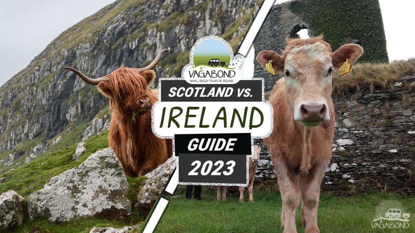 Blog Share image of Ireland and Scotland Tours with cows