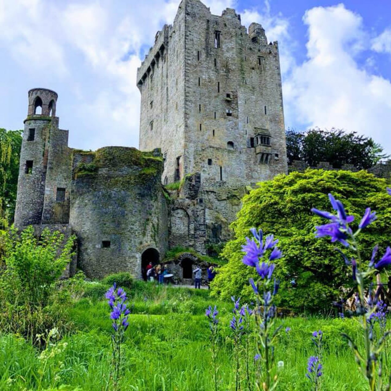 Blarney Castle Cork