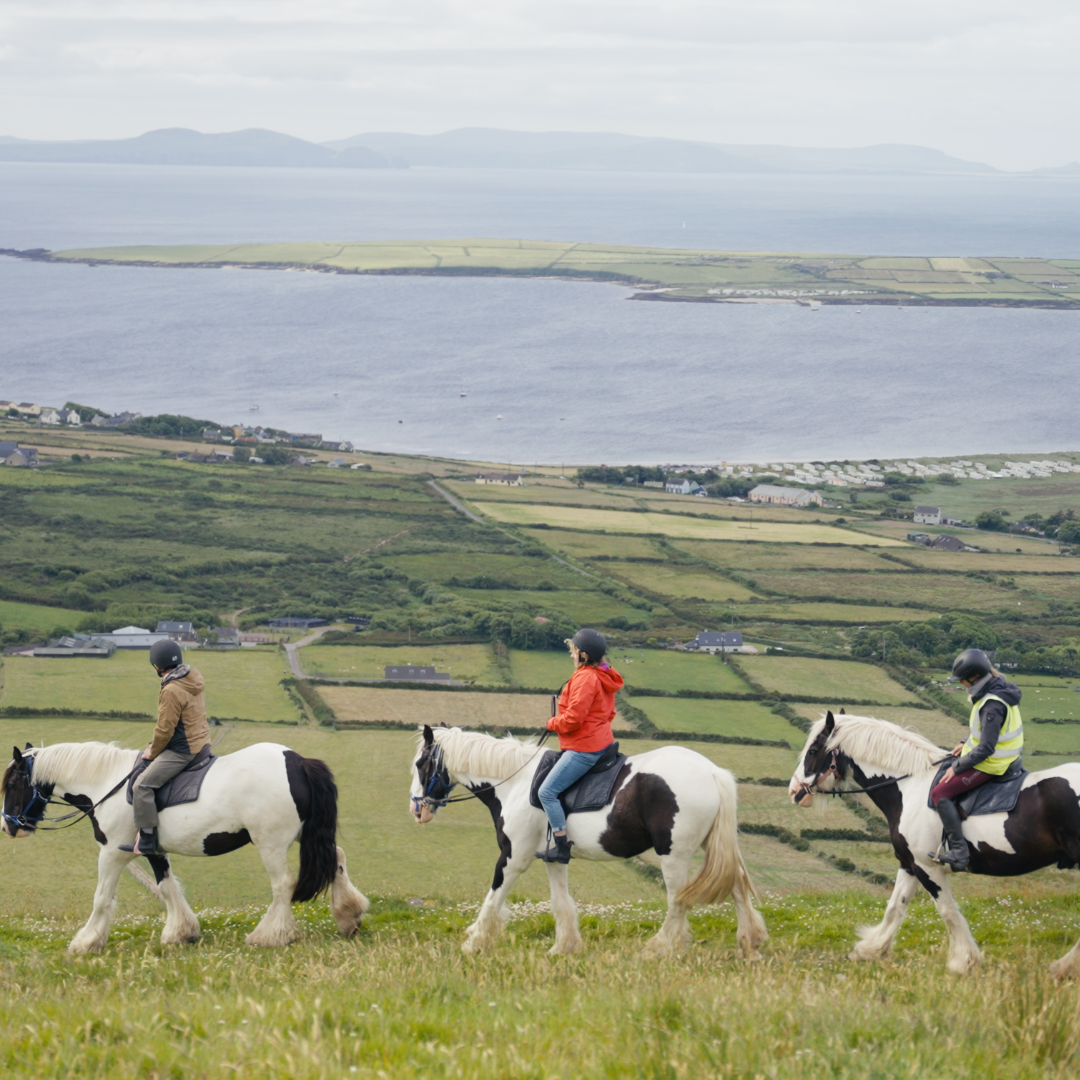 3 guests horse riding on a mountain in dingle