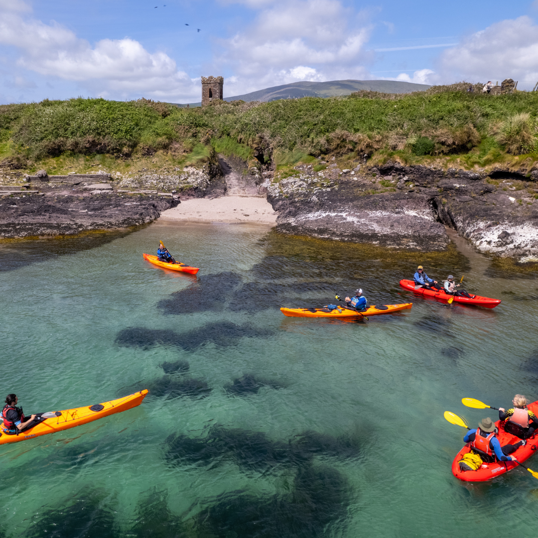 A group of vagabond guests kayaking on dingle bay