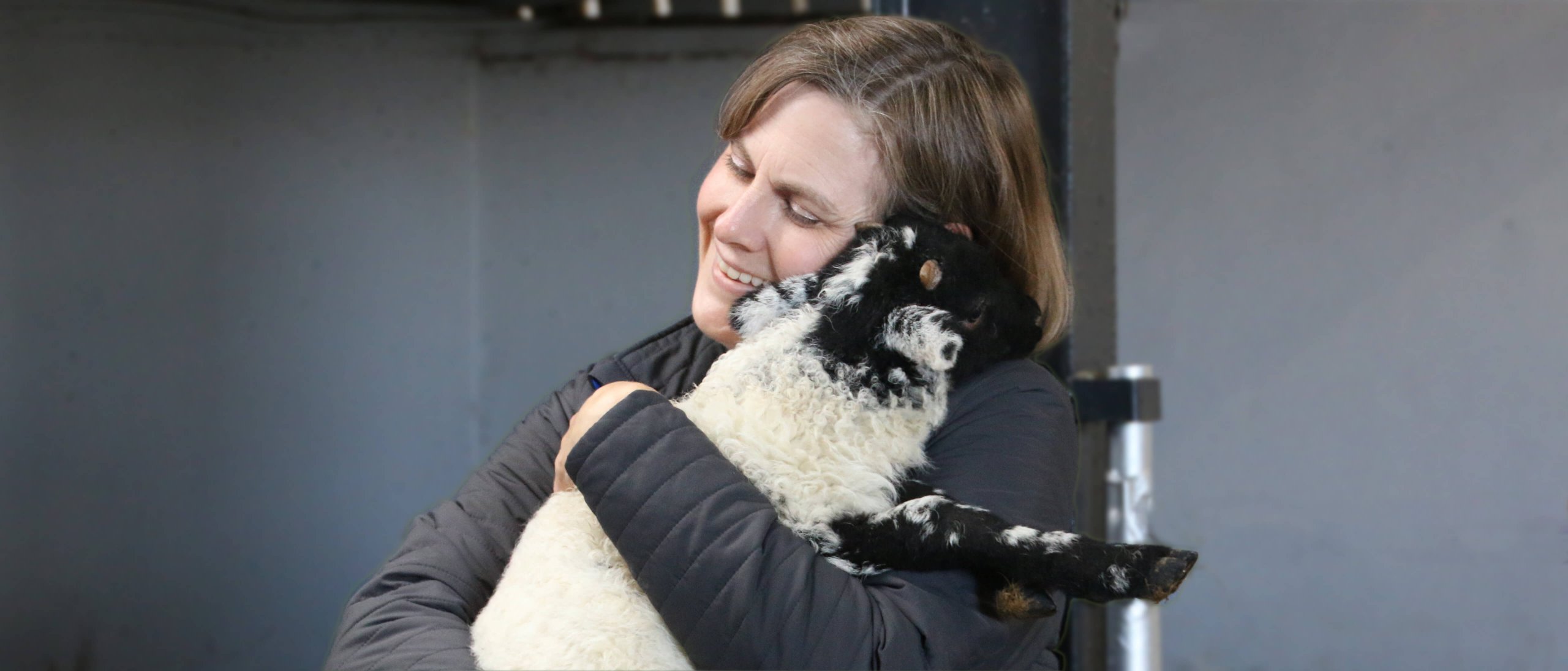 Vagabond tour guest cuddling lamb in Ireland
