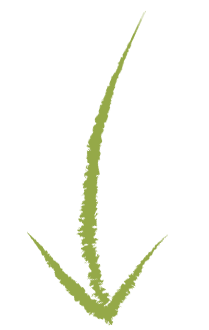 Green illustrated arrow pointing down