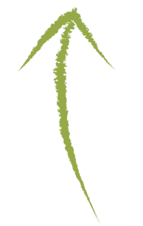 Illustrated green arrow pointing up