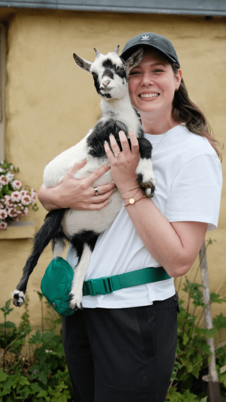 A guest holding a baby goat at west kerry sheep farm 