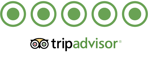 5 Star TripAdvisor review with logo