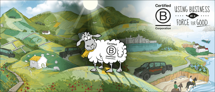 Illustrated landscape featuring sheep with BCorp logo