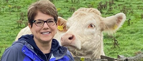 Female tour guest with a cow in Ireland
