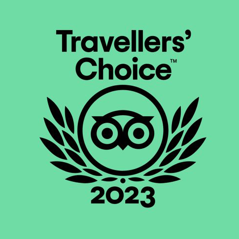 Travellers Choice TripAdvisor logo on green background