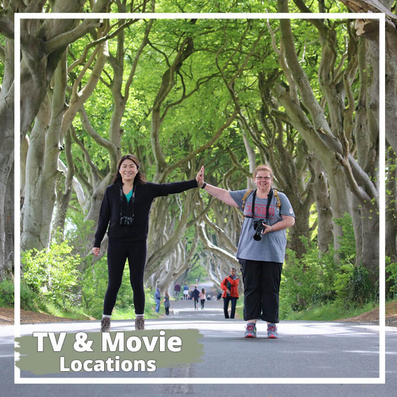 Text: Tv & Movie Locations with 2 tour guests at the Dark Hedges in Northern Ireland