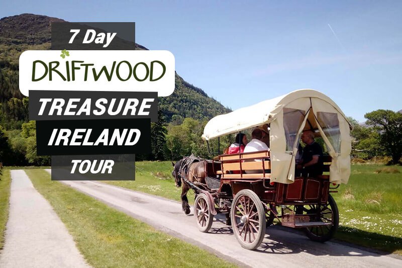 vagabond driftwood tours ireland