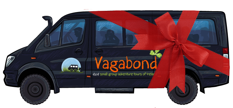 Vagabond VagaTron 4x4 Offroad Tour Vehicle wrapped with red bow