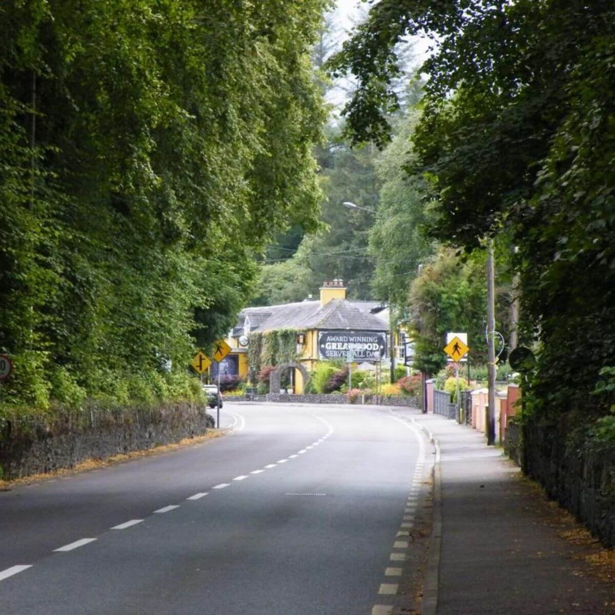 The road leading up to the mills inn, with trees on either side