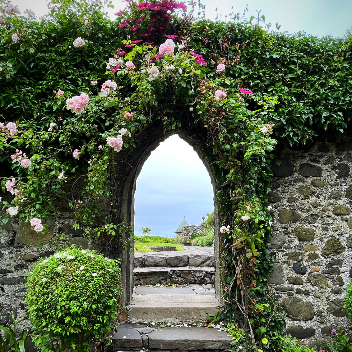 An archway covered in flowers in the gardens of ballygally castle