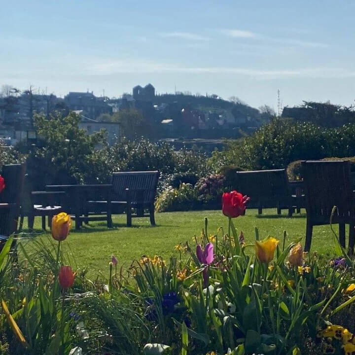 Flowers in the garden in the Falls Hotel, Ennistymon