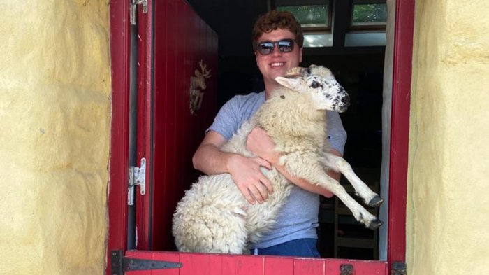 Tour guest holding sheep on Wild Atlantic Way tour of Ireland