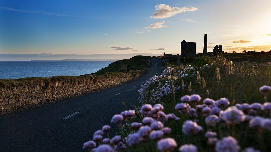 Road along Copper Coast at sunset with flowers in foreground and ruins in the background