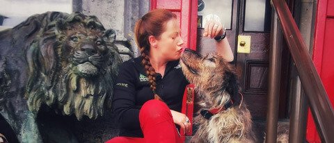 7 day castles tour of Ireland with tour guide and dog