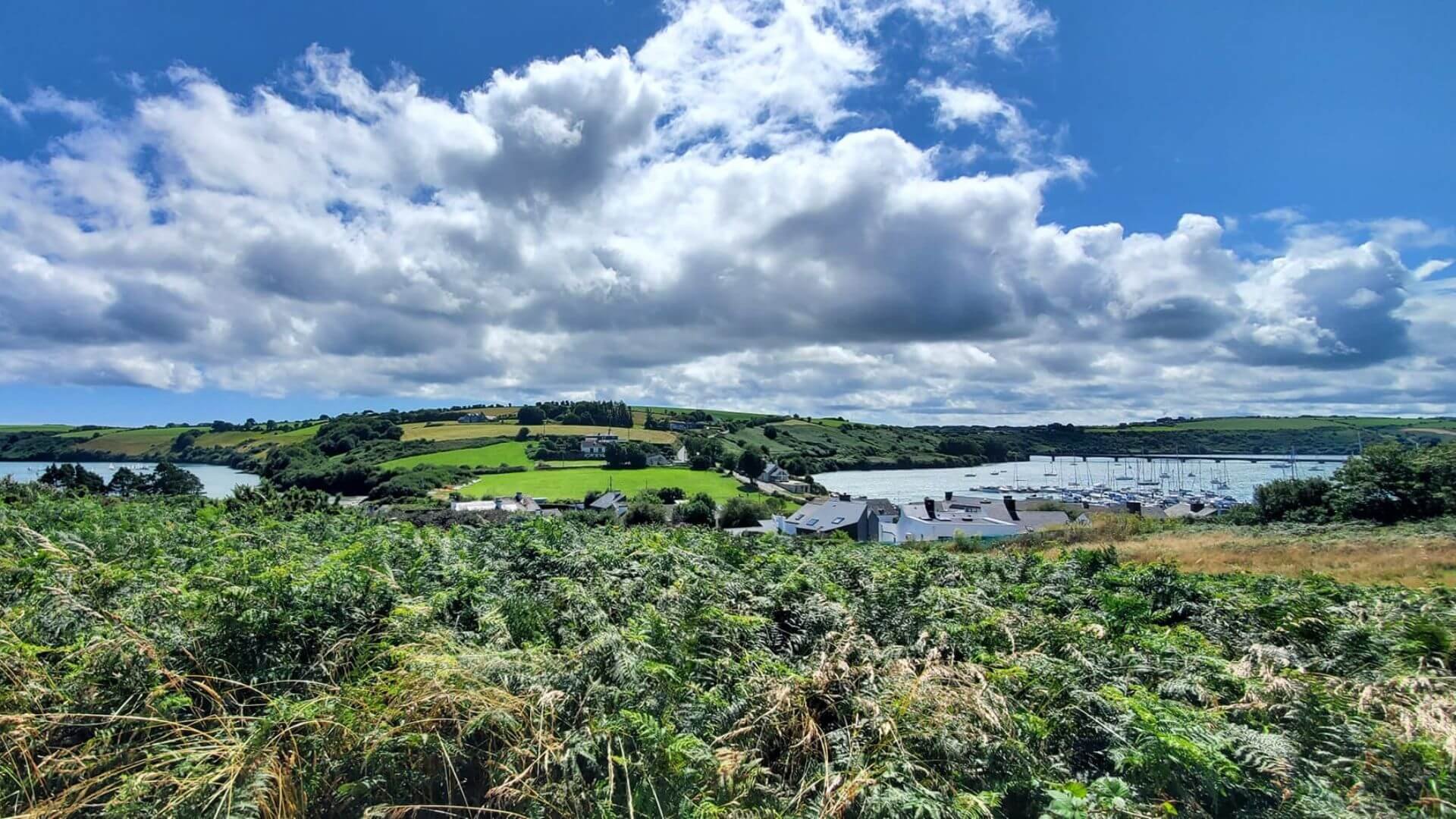 A view of Kinsale Harbour