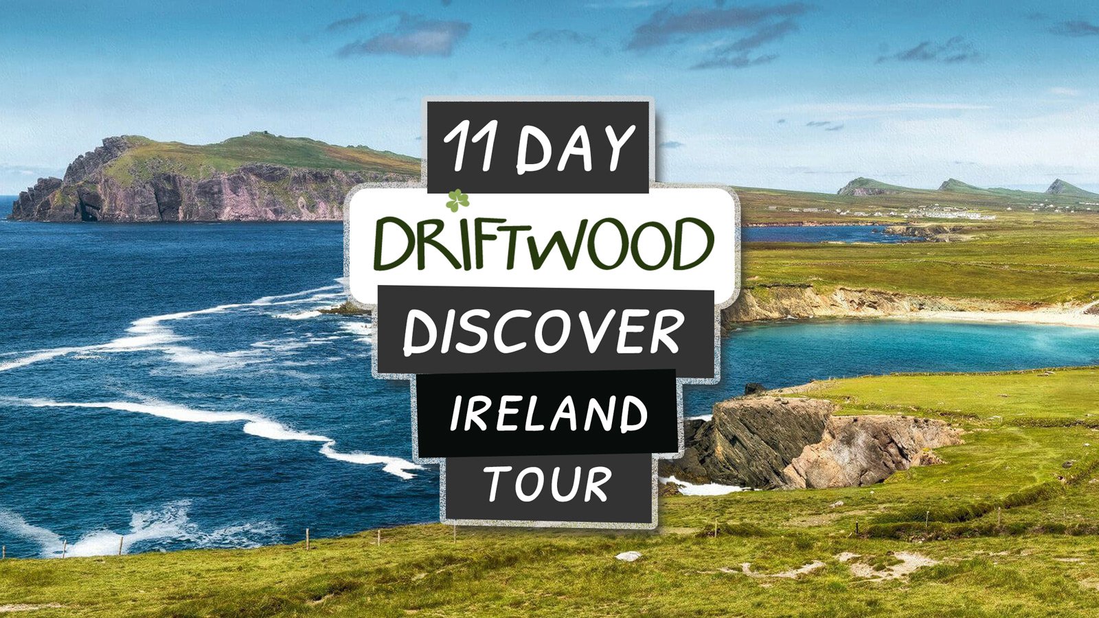 driftwood tours ireland reviews