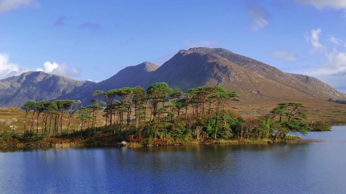 Scenic lake with trees and mountain in the background in Ireland