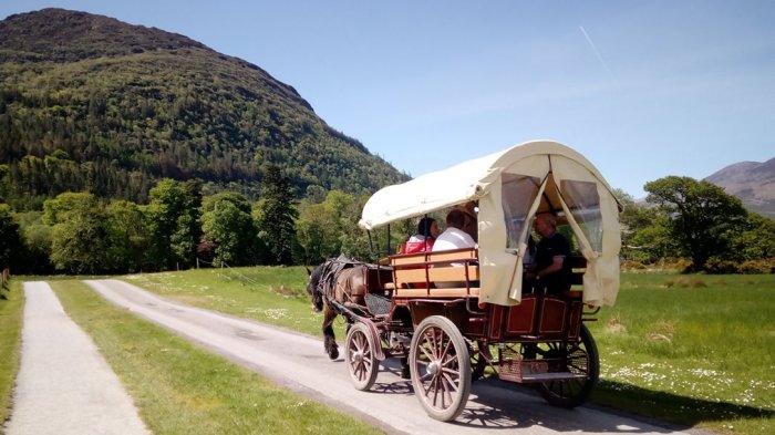 A horse-drawn carriage in Killarney National Park in Ireland