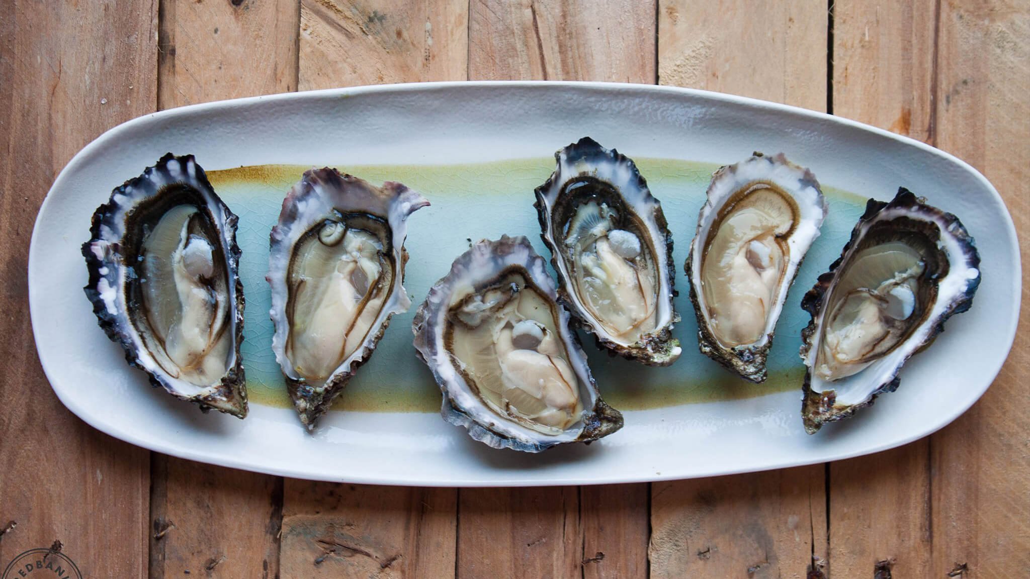 Six fresh oysters on the half shell lie opened on a rectangular plate with wooden background