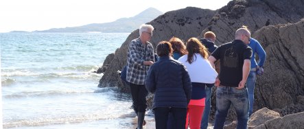 Vagabond Tour Group foraging for seaweed in Ireland
