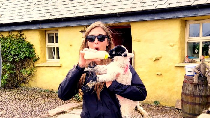 Happy tour guest feeding a lamb while spending 2 weeks in Ireland