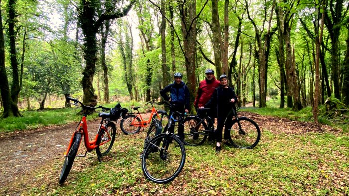 Tour guests and bikes in a woodland while spending 2 weeks touring Ireland