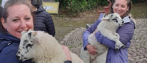 Two tour guests holding lambs in Northern Ireland