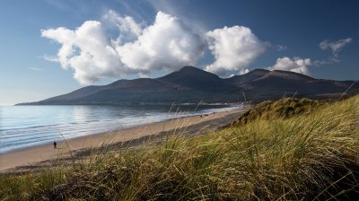 Marram grass blows in the foreground with the Mourne Mountains in the background and monumental clouds above