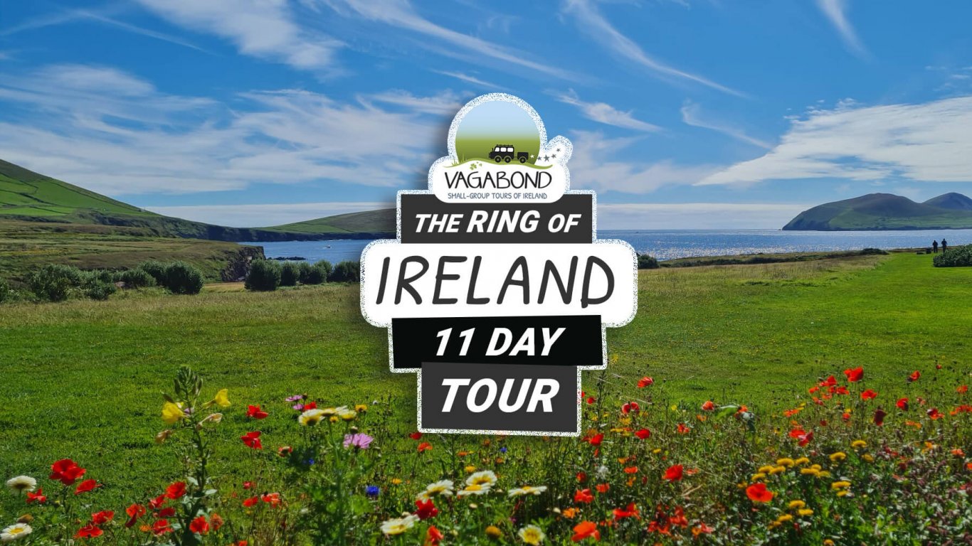 11 Day Ring of Ireland Tour share image