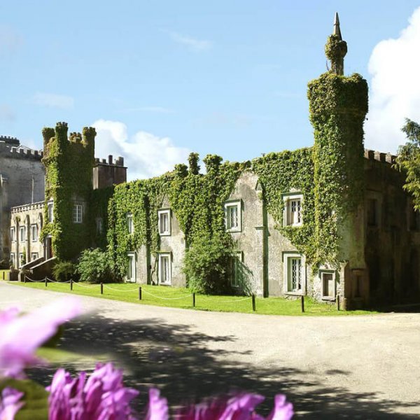 Exterior of Ballyseede Castle Hotel in Ireland covered in green foliage