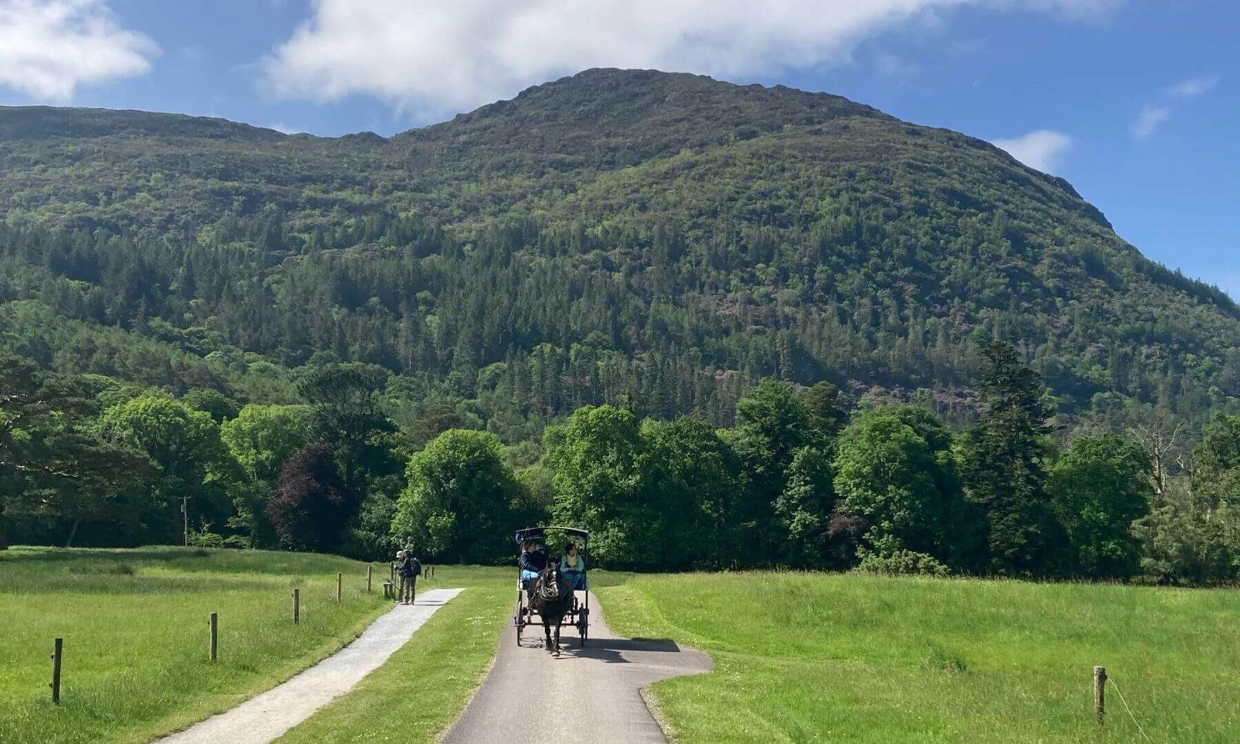 Jaunting in Killarney National Park