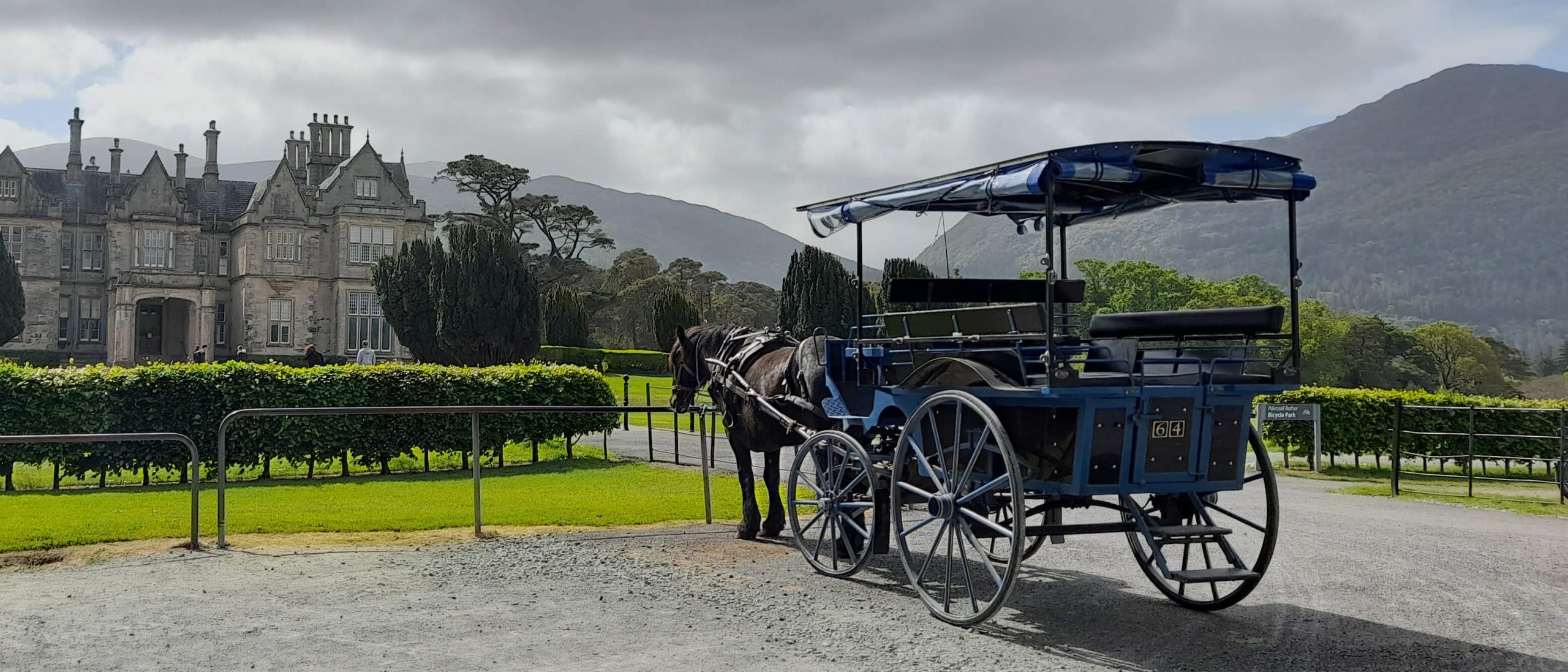 Killarney horse and carriage  on a tour of the Wild Atlantic Way in Ireland